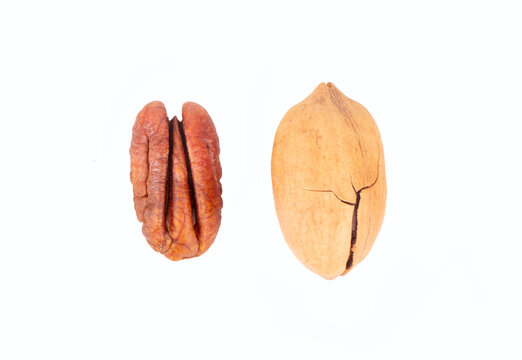 Half pecan and nut in shell isolated on white background