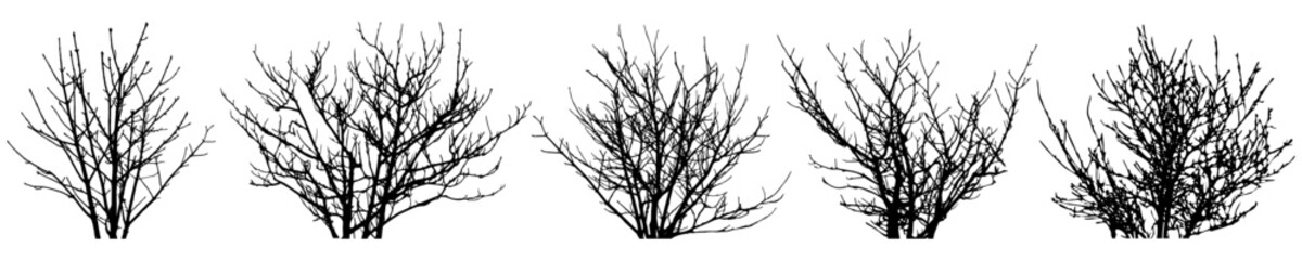 Bare bush, set of silhouettes. Vector illustration