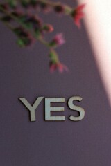 YES Letter on a lila background with flowers in the front in sunlight