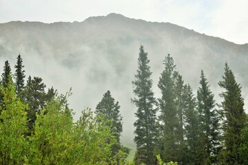 Fog rises over the mountain peaks after a heavy rainstorm