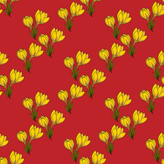 Seamless pattern with yellow crocuses on red background. Spring flowers. Vector image.