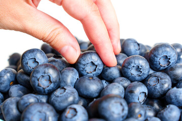 Hand taking a fresh blueberry