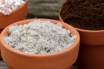 organic fertilizer within alternative agriculture: eggshells,beard pulp,hair,banana peel and dried coffee grounds