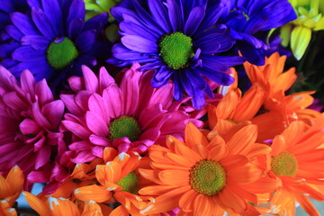 bouquet of colorful flowers