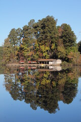 Fototapeta premium reflection of trees in the lake