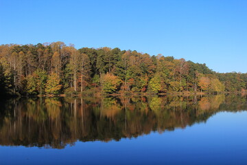 autumn trees reflected in water