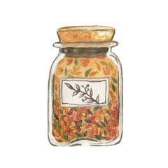 Jar with herbs for tea. Watercolor illustration
