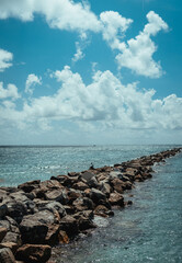 sea and rocks miami beach  