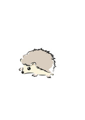Hedgehog © Monika Janiak-Klicha