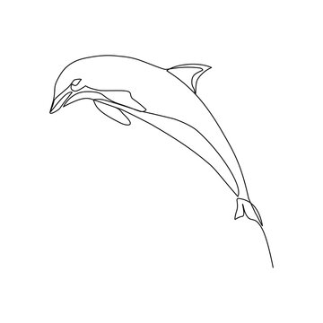recommend clip art: Dolphin vector illustration drawn in line art style
