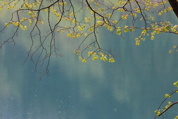 autumn leaves over blue lake - Jiu Zhai Gou