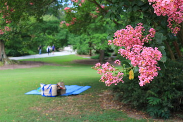 child sitting on a bench in the park