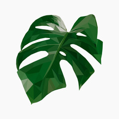 isolated icon with monstera leaf. Low poly style. 