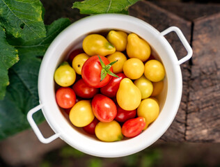 Red and yellow cherry tomatoes in a white bowl on a wooden surface, top view, outdoors