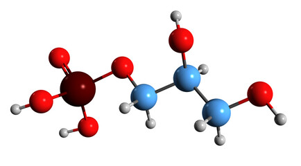 3D image of Glycerol 3-phosphate skeletal formula - molecular chemical structure of Gro3P isolated on white background

