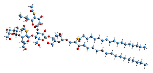  3D image of monosialodihexosylganglioside skeletal formula - molecular chemical structure of GM3 isolated on white background
