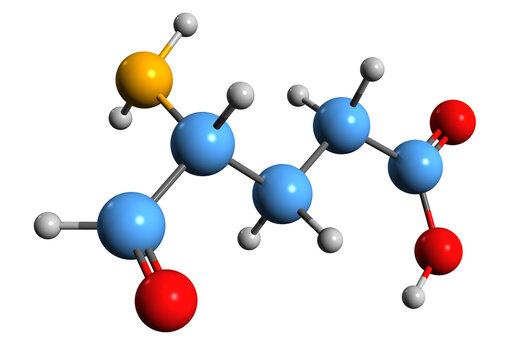 3D image of Glutamate-1-semialdehyde skeletal formula - molecular chemical structure of metabolite isolated on white background
