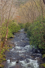 Fototapeta na wymiar Rushing Waters in a Mountain Stream