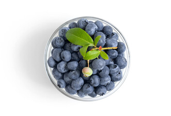 Blueberries in a bowl with green leaves isolated on white background. Fresh juicy blueberries. Healthy food concept. Top view, flat lay. Bilberry, huckleberry.