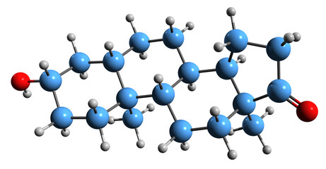  3D image of Noretiocholanolone skeletal formula - molecular chemical structure of  metabolite of nandrolone isolated on white background
