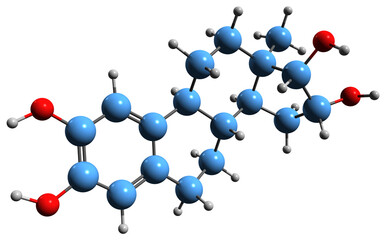  3D image of Hydroxyestriol skeletal formula - molecular chemical structure of  endogenous catechol estrogen isolated on white background
