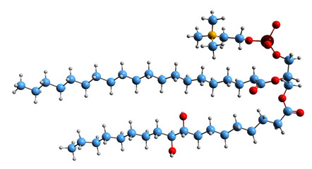 3D image of Hydroxylated lecithin skeletal formula - molecular chemical structure of chemically modified lecithin isolated on white background