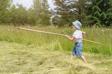 The kid walks with a big rake and on the mown grass. The boy helps to make hay