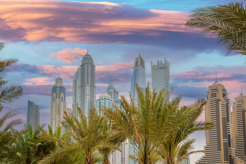 Image of modern skyscrapers with palm trees in foreground