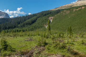 Fototapeta premium Yoho Valley Road Yoho National Park British Columbia Canada