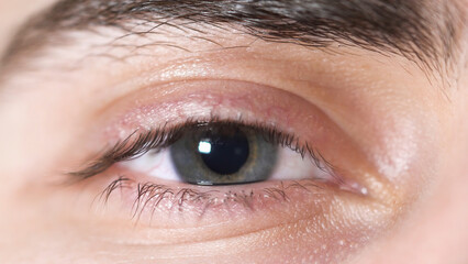 Obraz premium Close-up of human eyes. Beautiful eye of young man with pupil shrinking from light. Human eye gray and brown shade with attractive eyebrows and eyelashes