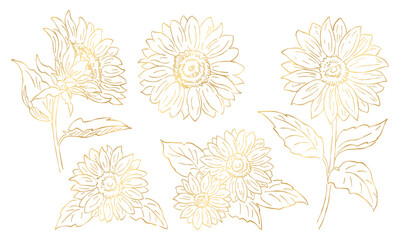 向日葵のイラスト素材セット, 金色の線画, 花の挿絵要素, ベクターデータ.