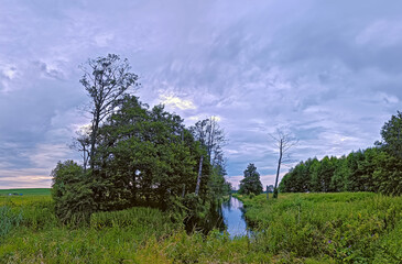 Storm Rainy weather. Summer overcast sky. Small river in wood. Dramatic landscape, cloudy day