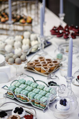 Obraz na płótnie Canvas Rows of desserts on the wedding table