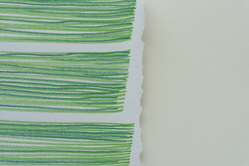 paper background with abstract depictions (torn paper with green vertical lines)