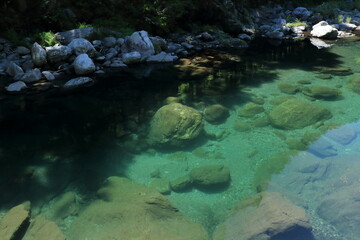 透明度の高い汗見川　夏　（高知県　本山町）