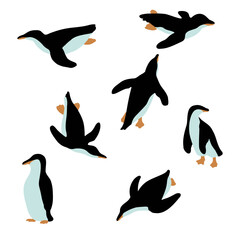 Naklejka premium collection of birds