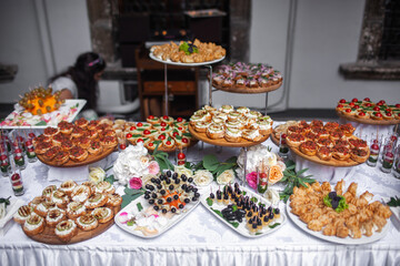 Rows of appetizers and starters on the wedding table