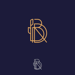 Premium and elegant letter BDR logo design