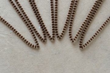 fancy brown pipe cleaners folded in half
