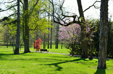 Park bench on spring path