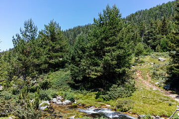 Obraz premium Landscape of Pirin Mountain mountain near Begovitsa hut, Bulgaria