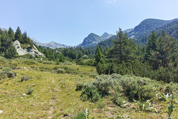 Landscape of Pirin Mountain mountain near Begovitsa hut, Bulgaria