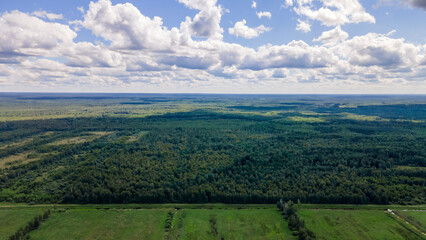 Obraz premium Blue sky panorama with clouds over tops of green trees. Blue sky and white cloud soft. White clouds background.