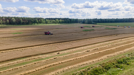 Aerial view combine harvester harvesting on the field. Harvesting wheat. Harvester machine working in field.