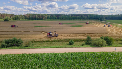 Obraz premium Aerial view combine harvester harvesting on the field. Harvesting wheat. Harvester machine working in field.