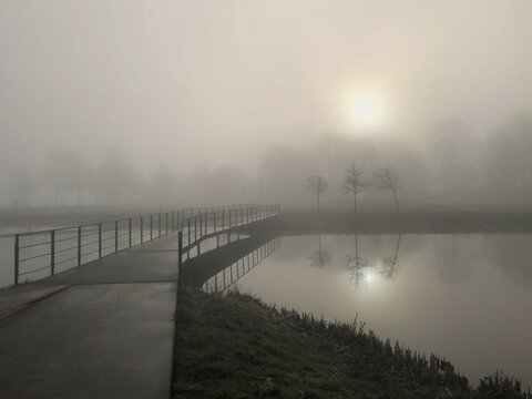 fog over the river in the morning light