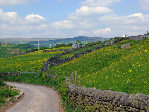 a corner of a country road going downhill surrounded by stones walls and spring meadows in yorkshire dales countryside with farmhouses and the pennines in the distance with blue sky and white clouds