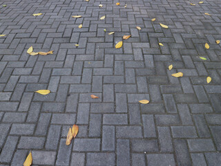 fallen leaves scattered on the paving block road