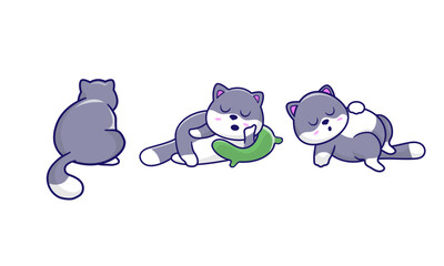 Cute funny fat cat sleeping and sitting