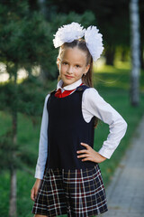 Schoolgirl girl in uniform with pigtails and bows.